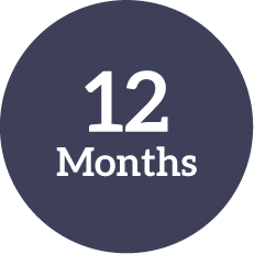 12 Months Icon