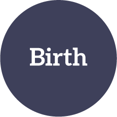 Birth Icon