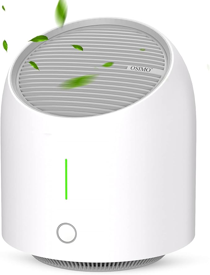 Small Room Air Purifier with H13 True HEPA Filter
