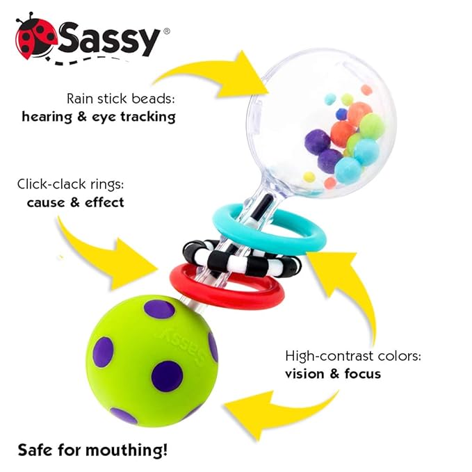 Sassy Spin Shine Rattle Developmental Toy