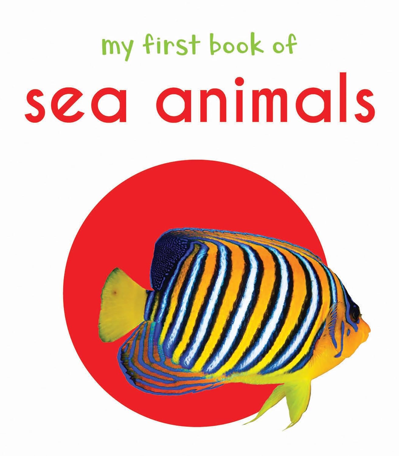 My First Book of Sea Animals 